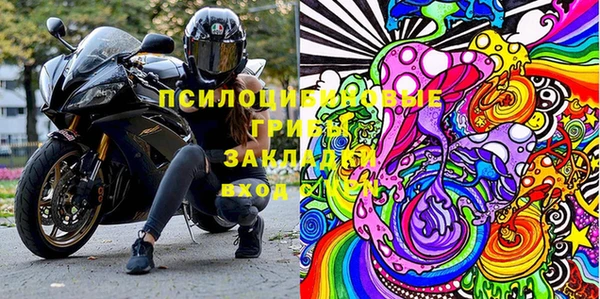 герыч Алексин