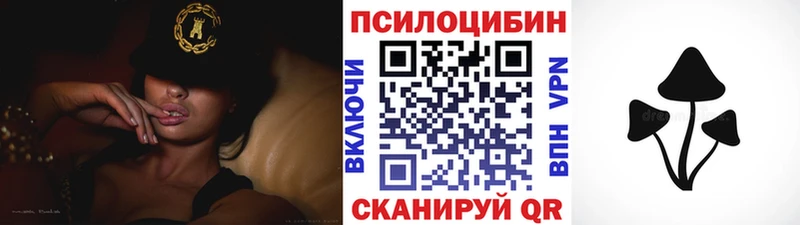 Галлюциногенные грибы Cubensis  ОМГ ОМГ онион  Чёрмоз 